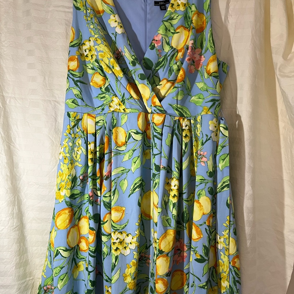 Size 22 lemon dress